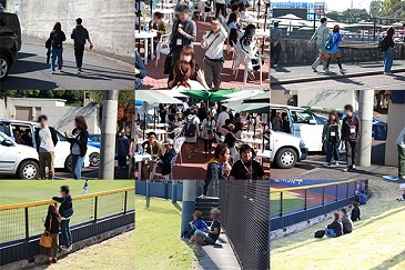 スタ婚カップリング